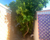 East : Unit 134 8989 E Escalante Rd Rd, Tucson, Arizona 85730, 1 Room Rooms,1 BathroomBathrooms,For Sale - Pet,For Sale,8989 E Escalante Rd,1421